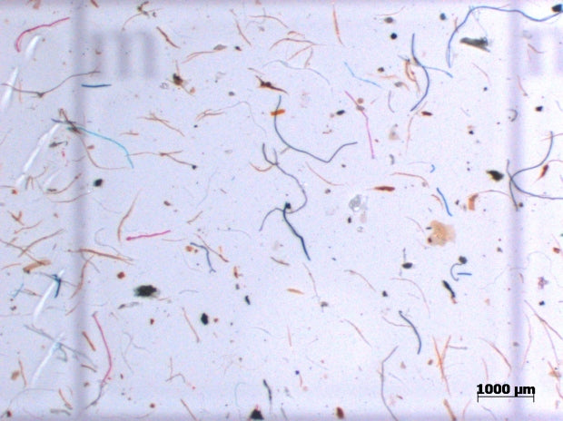 Mikroplastik einfach erklärt