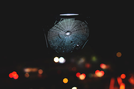 Starting Holes with Spider Webs